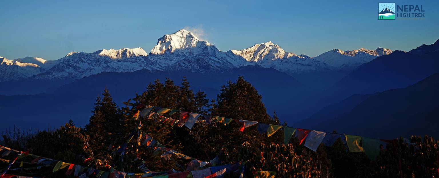 Ghorepani Poon Hill